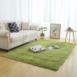 Soft Polyester Fluffy Silky Hand Tufted Area Rug